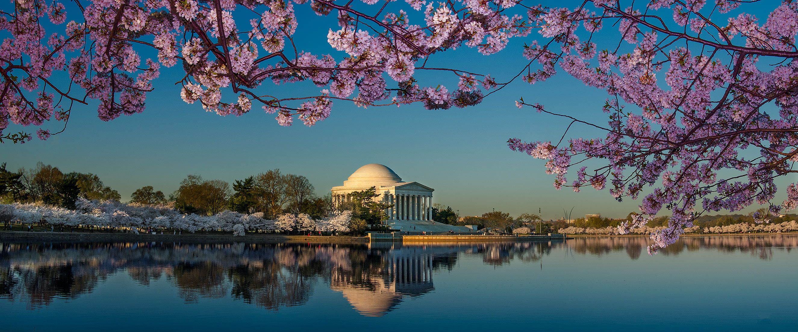 Early Morning Light, Jefferson Memorial D-07-04-03-106_108-(Cherry-Blossoms-and-Tidal-Basin).jpg