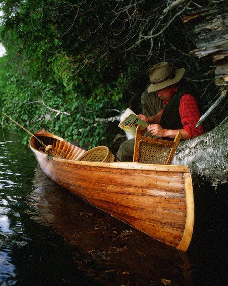 1field_and_stream_on_log