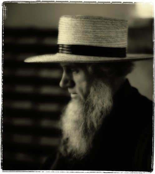 Amish Farmer