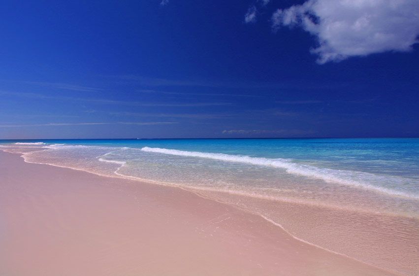 Pink Sands