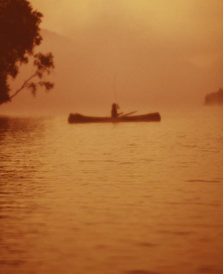 1CANOE_OVERCAST_adirondack_gold_verticle