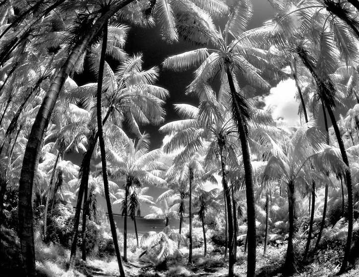 1lhi_infared_horizontal_ep_2