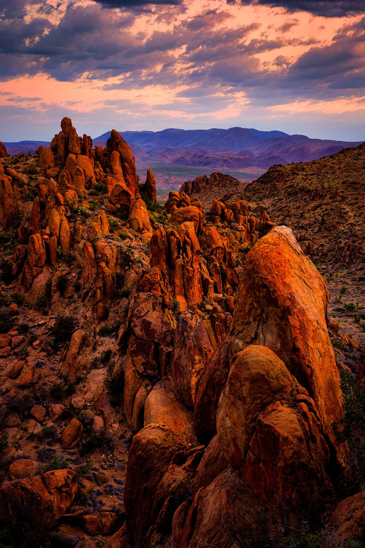 Grapevine Hills, Big Bend, Texas