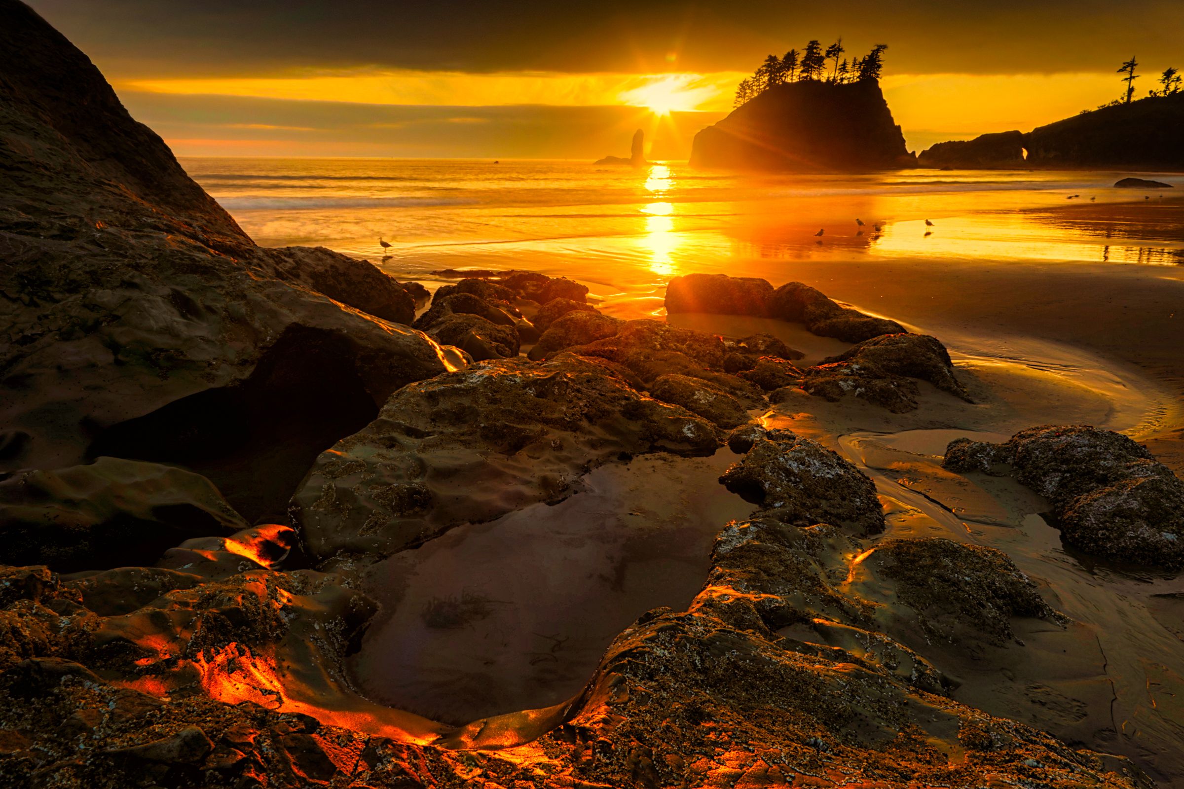 Sunset, Second Beach, Washington