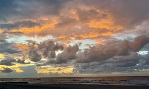 folly sunrise 