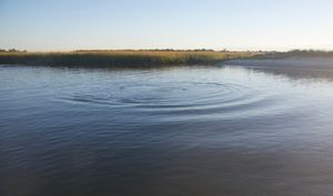 ripples