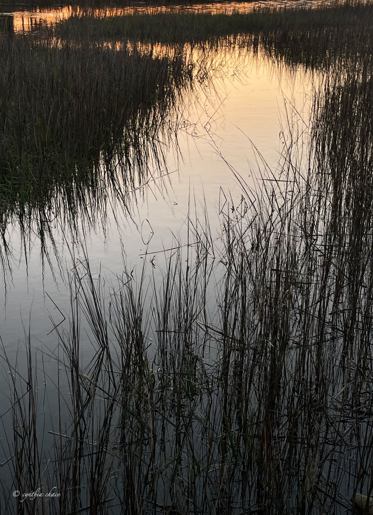 morning on the creek