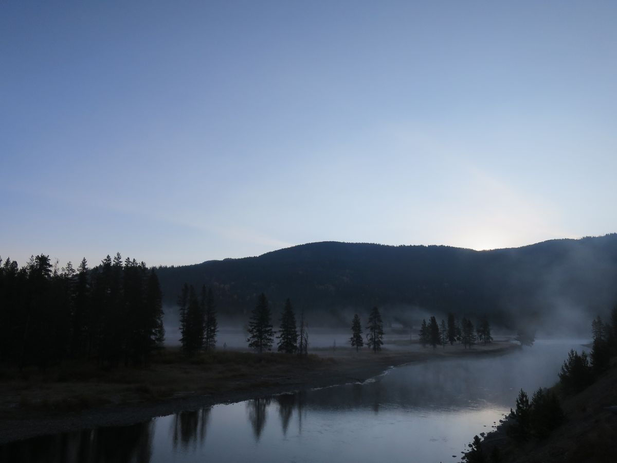 Yellowstone at dawn