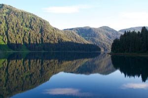 Tongass