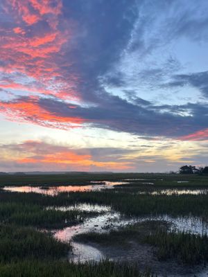 sunrise at edisto