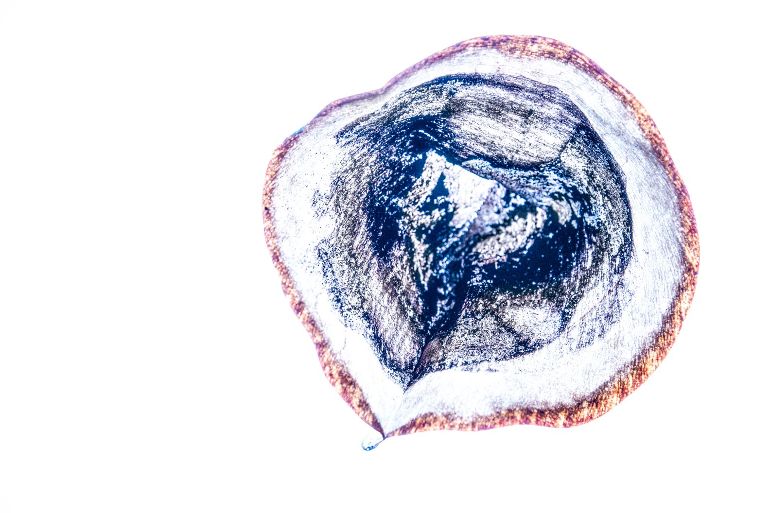 Filtras  System Phenomena