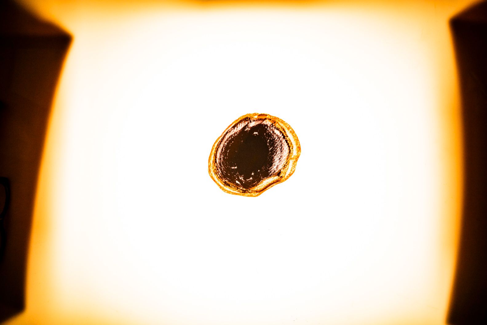 Filtras  System Phenomena