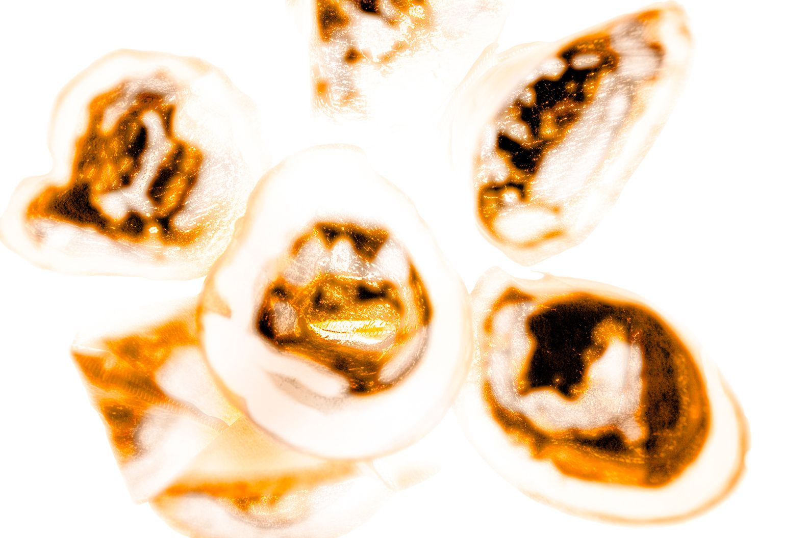 Filtras  System Phenomena