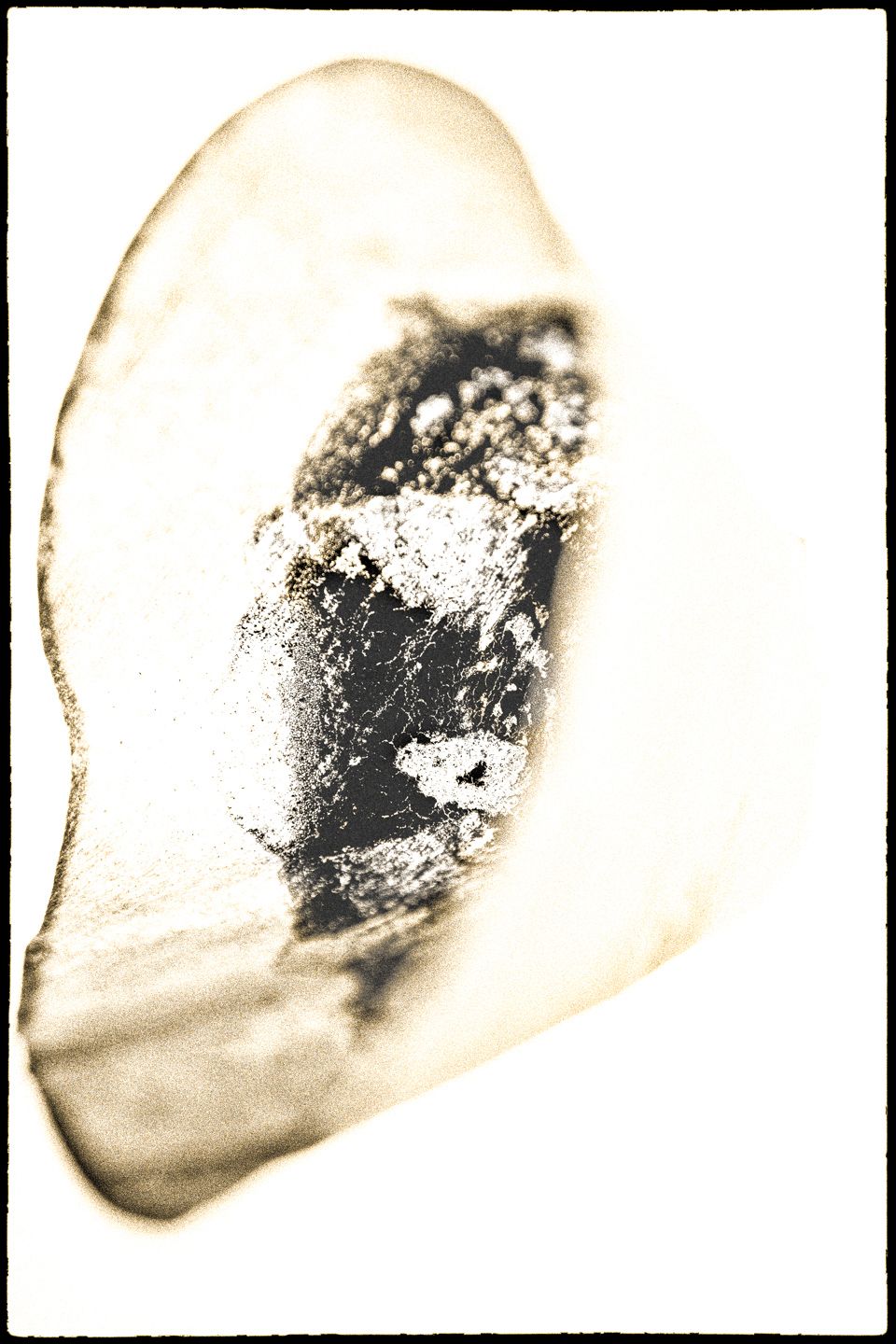 Filtras  System Phenomena