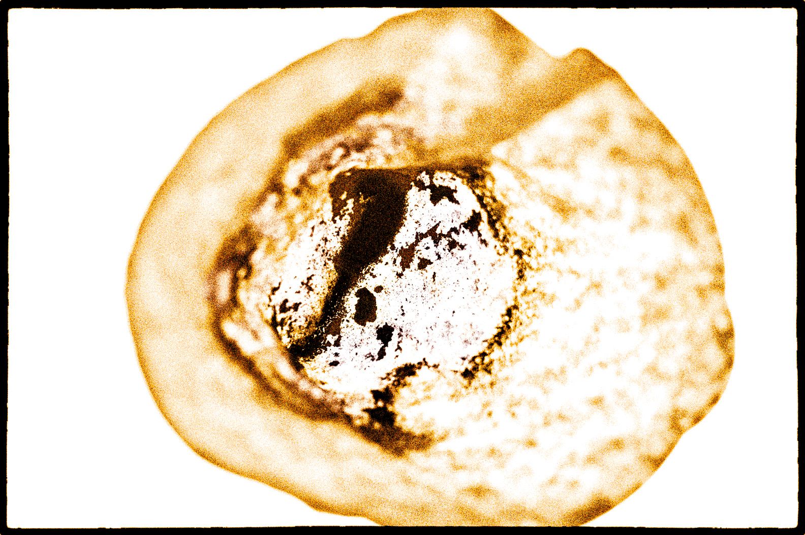 Filtras  System Phenomena