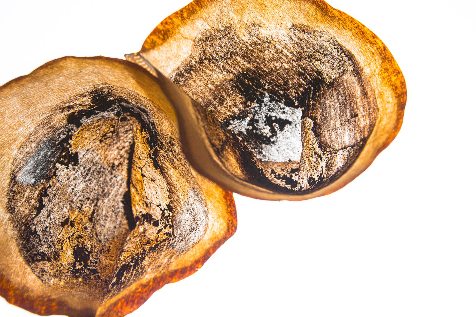 Filtras  System Phenomena