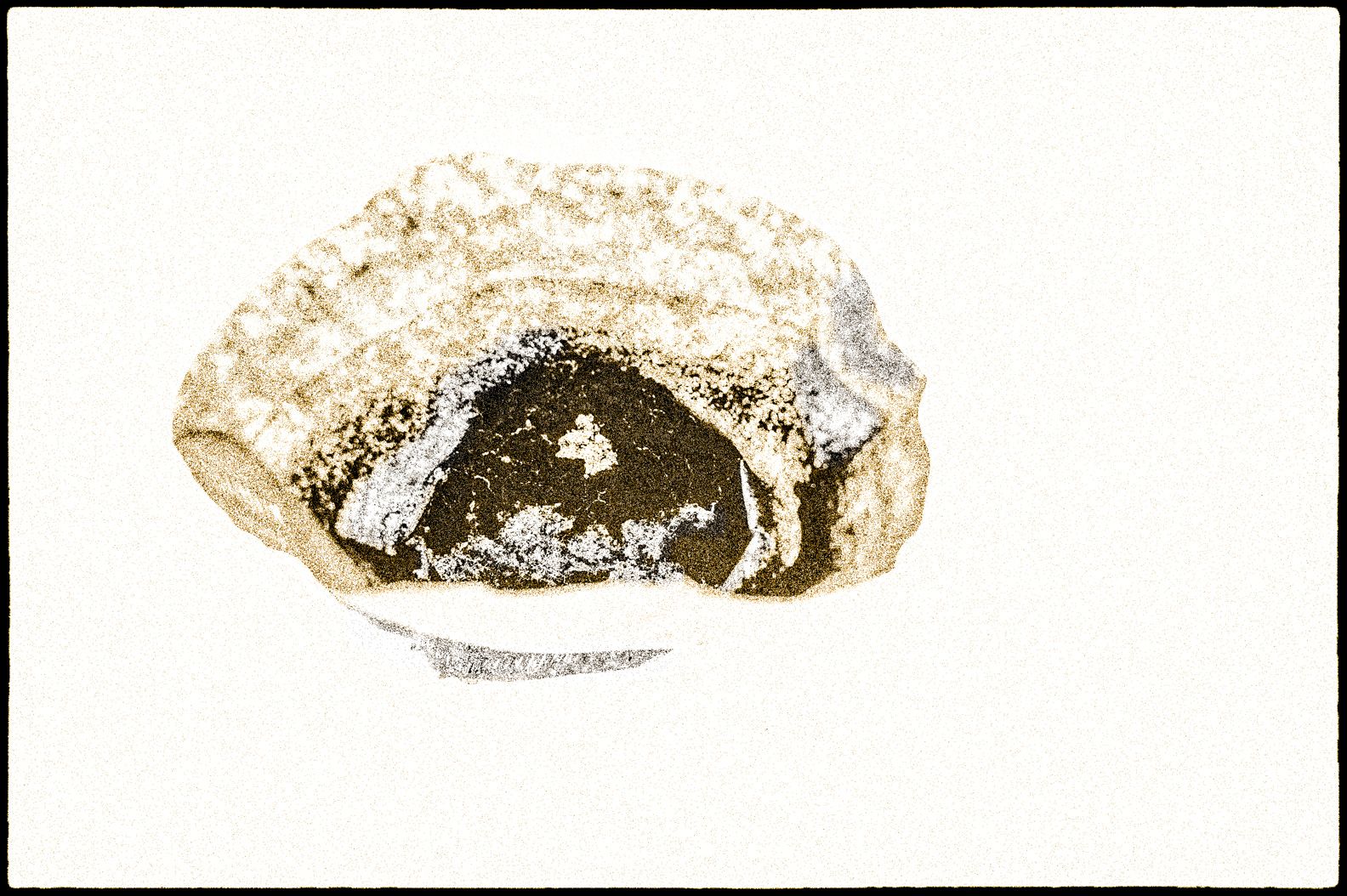 Filtras  System Phenomena