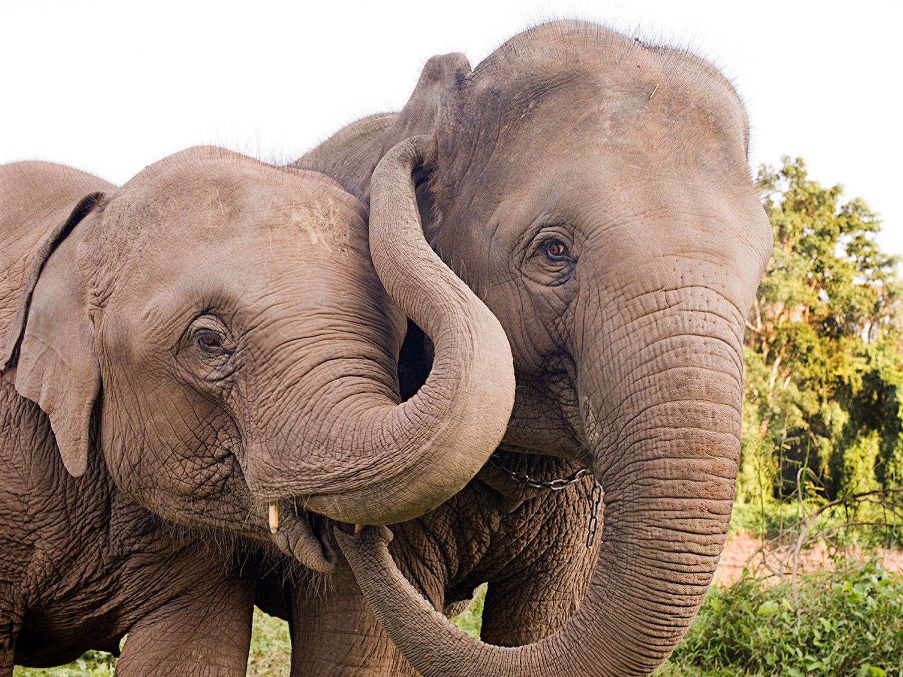 1_thl9536_copy_edit_edit_copy