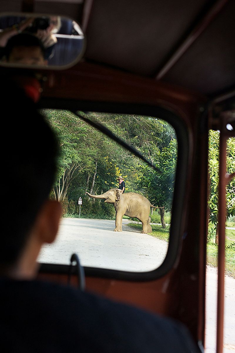 1hitchhiker_copy_copy