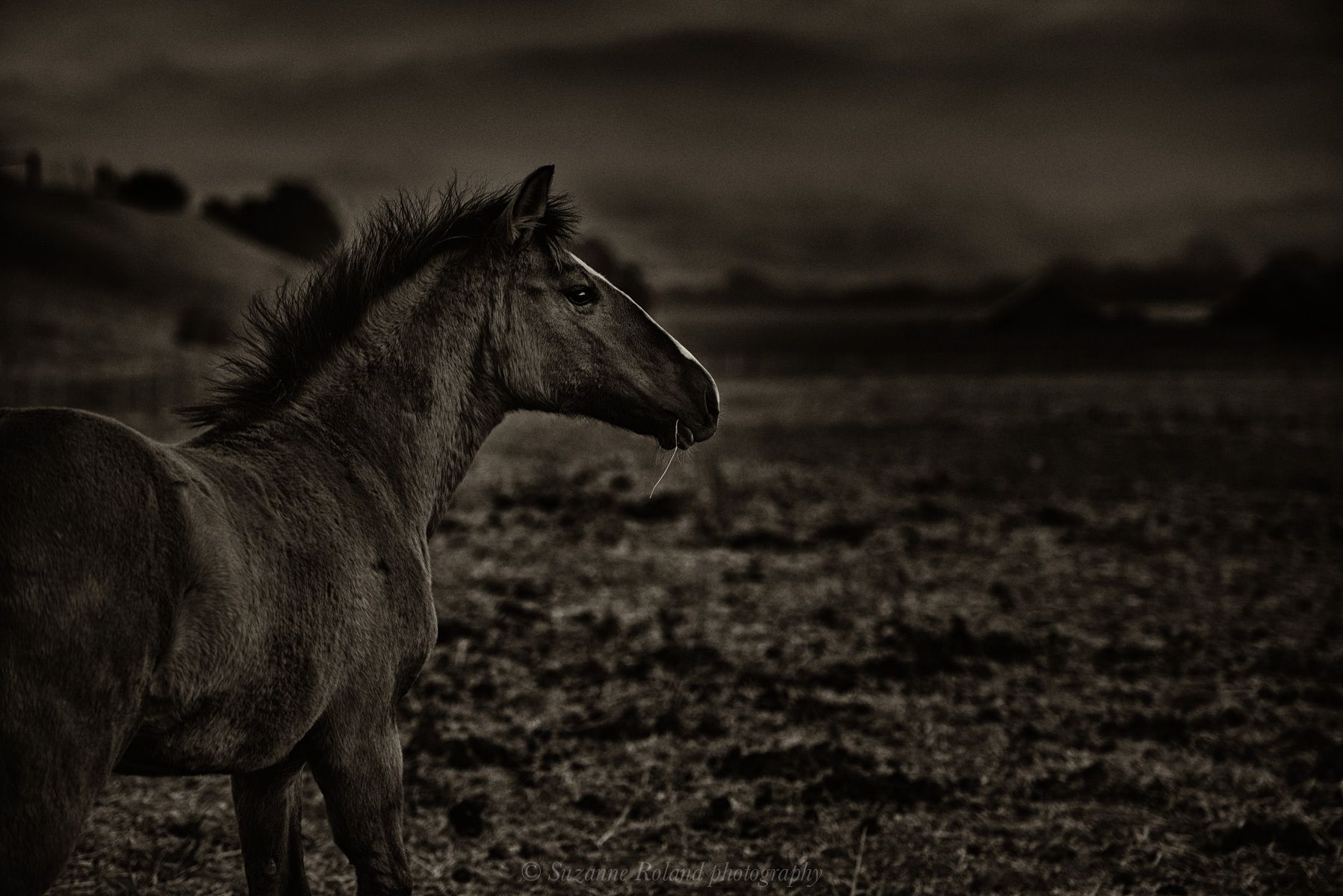 1_rtf4926_edit_edit_edit_edit_edit_edit_edit_edit_edit_edit_edit