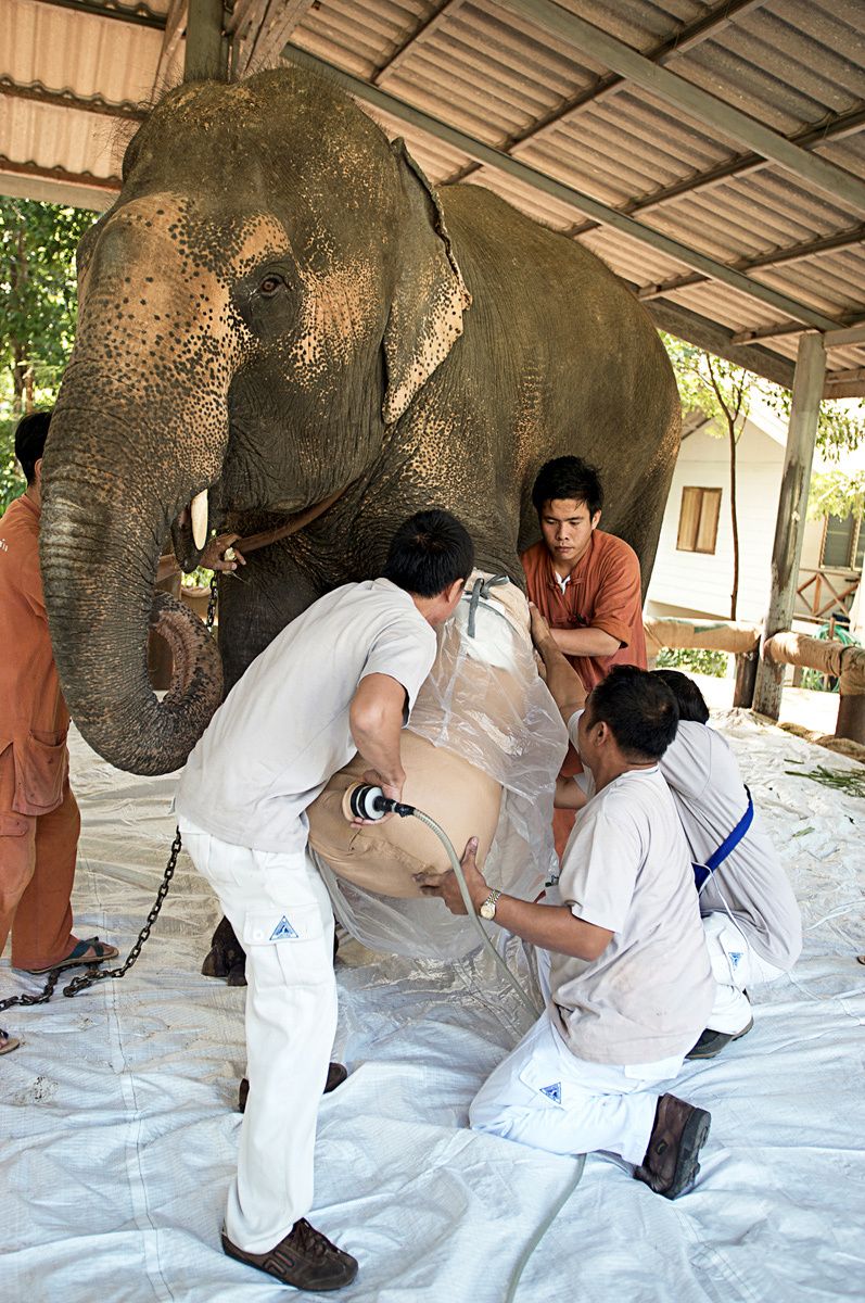 Motala, Refit of prosthesis