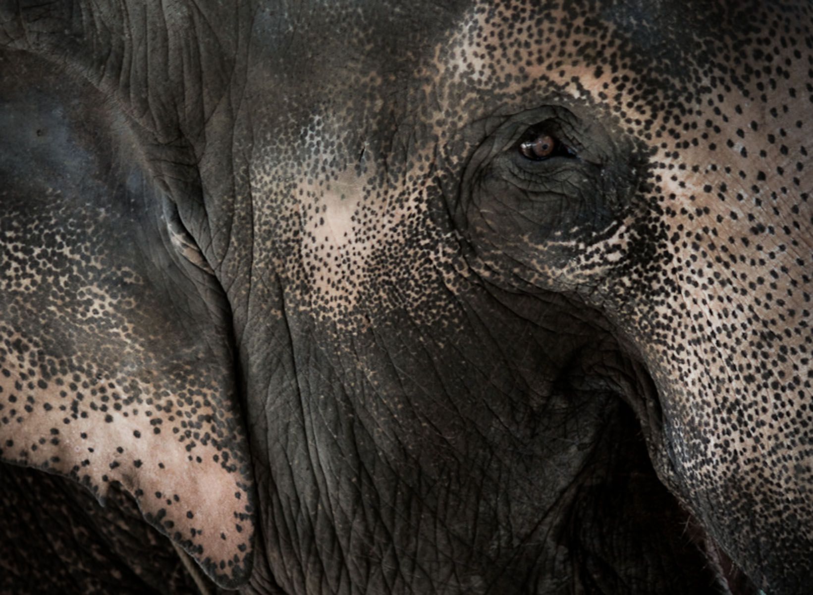 1thl_5273_2_edit_edit_2