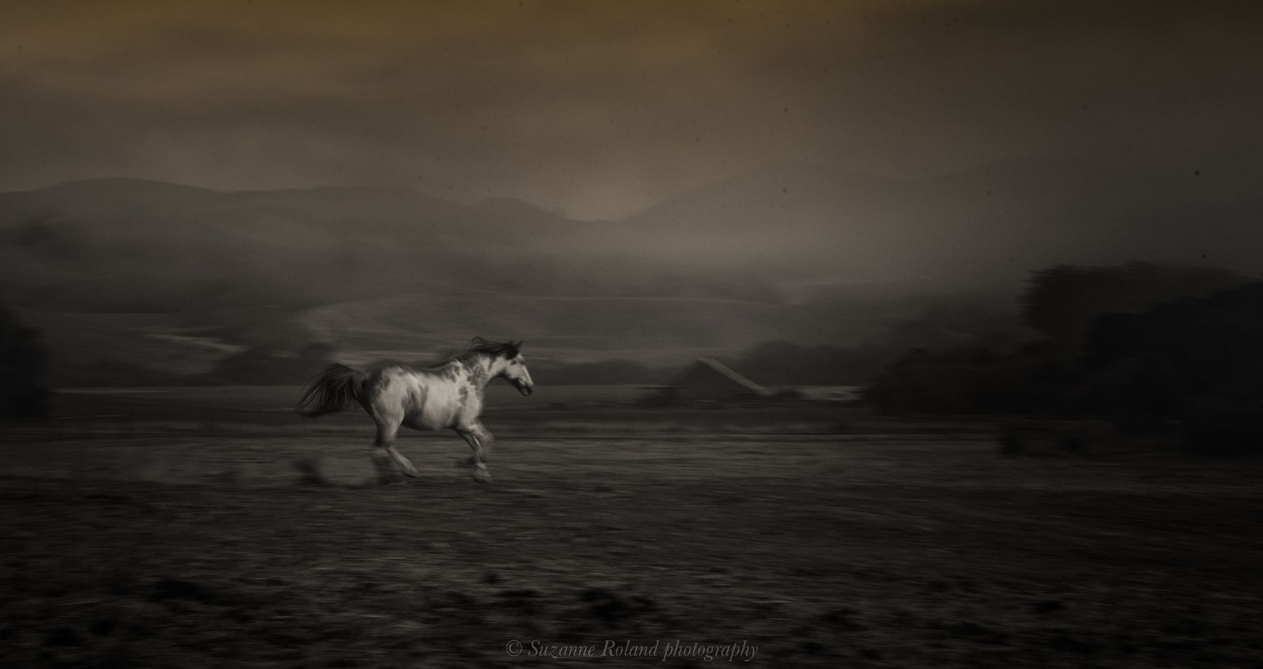 1_rtf4949_edit_edit_edit_edit_edit_edit