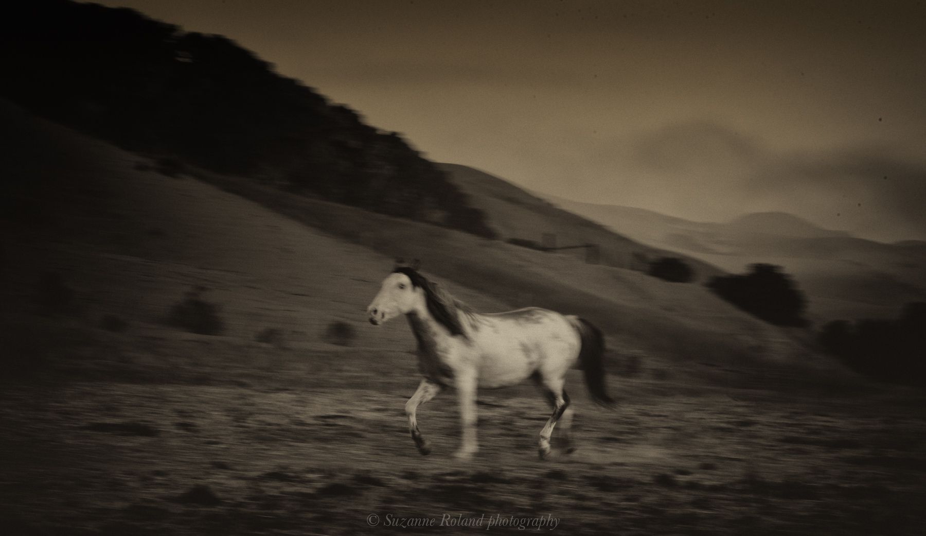 1_rtf4946_edit_edit_edit