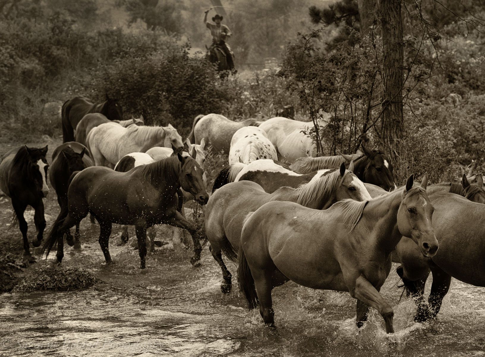 1_wyo9787_edit_edit_edit