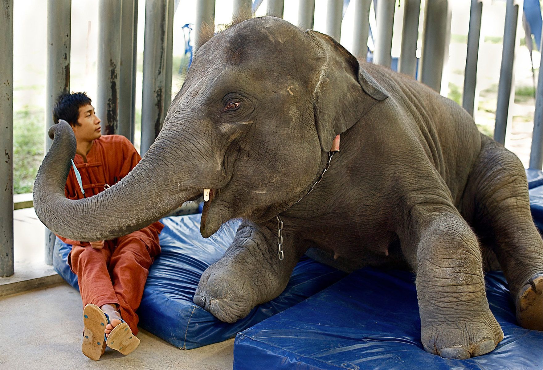 Mosha with Mahout John