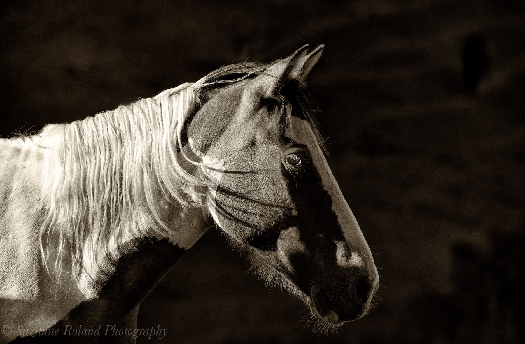 1_rtf3433_edit_edit_edit_edit_edit_edit_edit_edit_edit