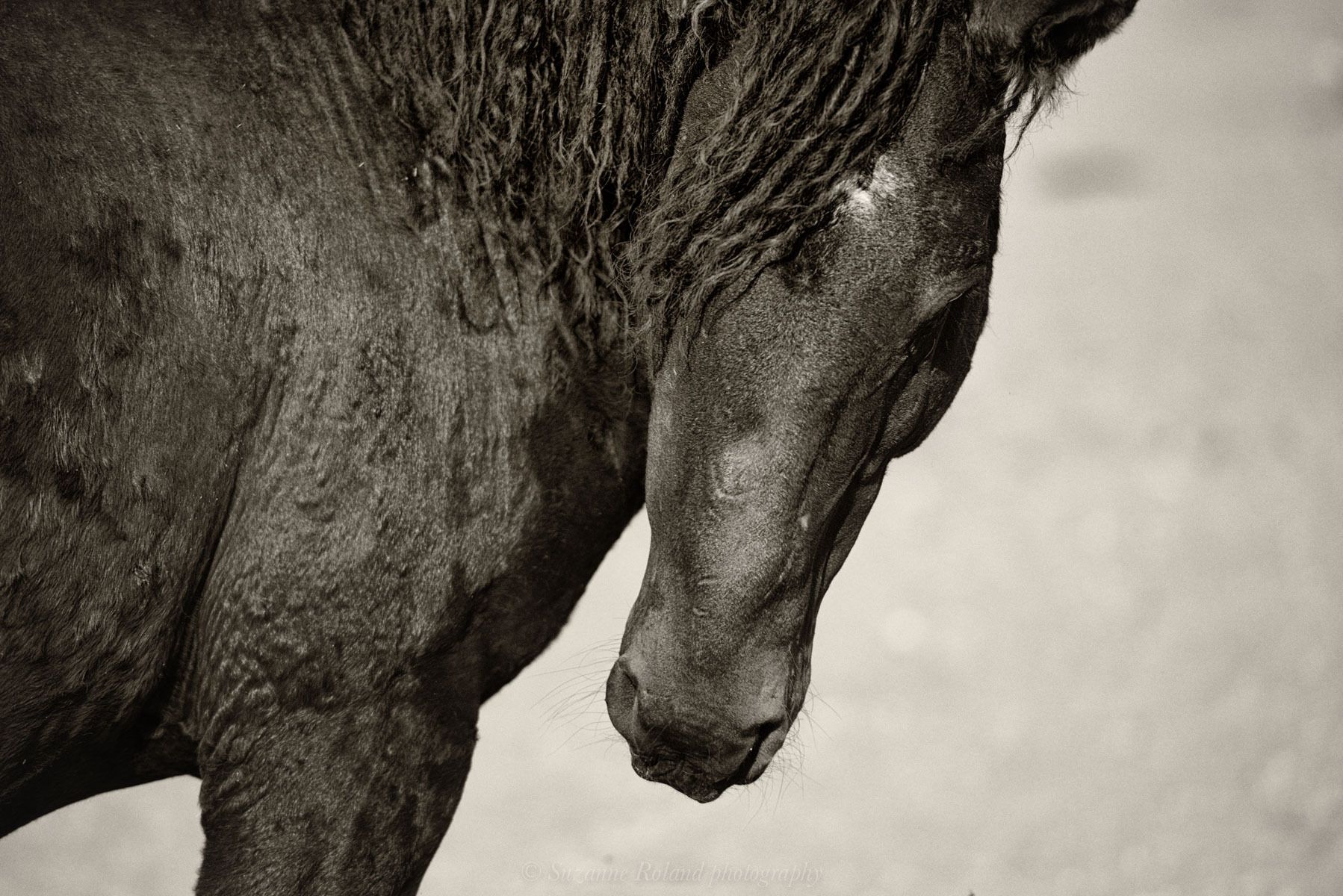 1_rtf5439_edit_edit_edit