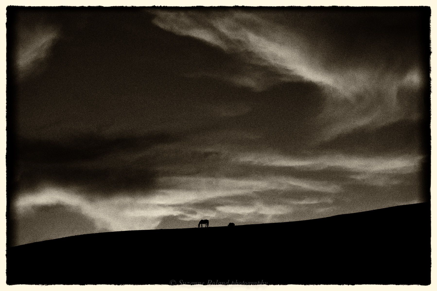 Blood Moon Sunset at Return To Freedom