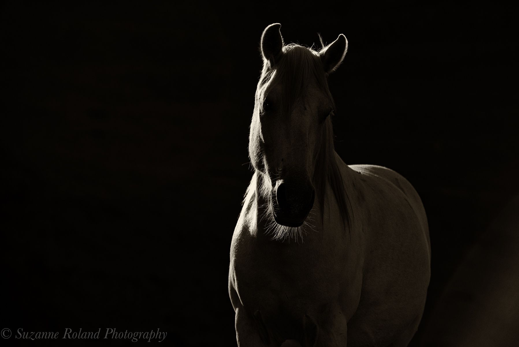 1_rtf3543_edit_4_edit_2