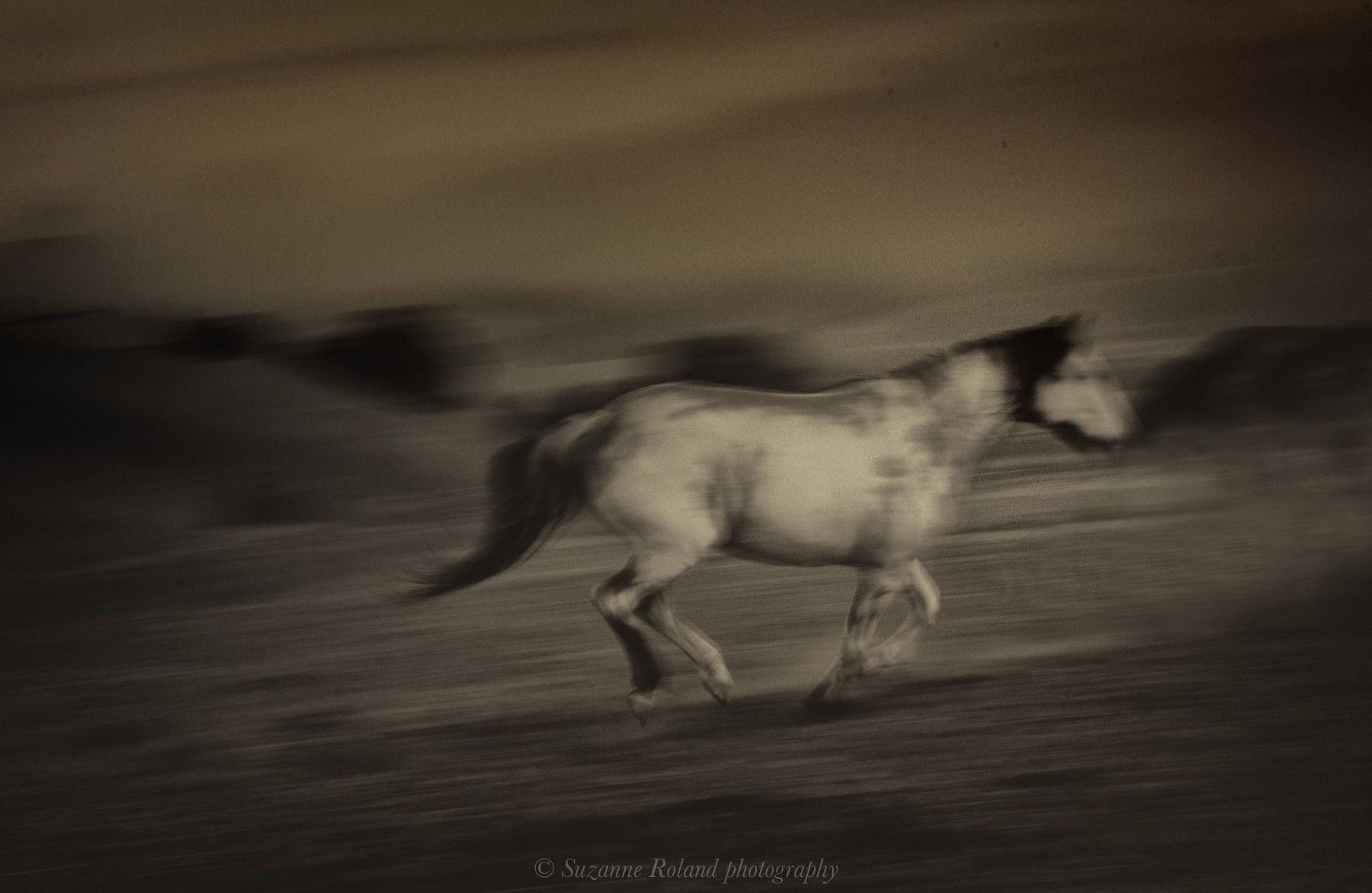 1_rtf4933_edit_edit_edit_edit_edit_edit