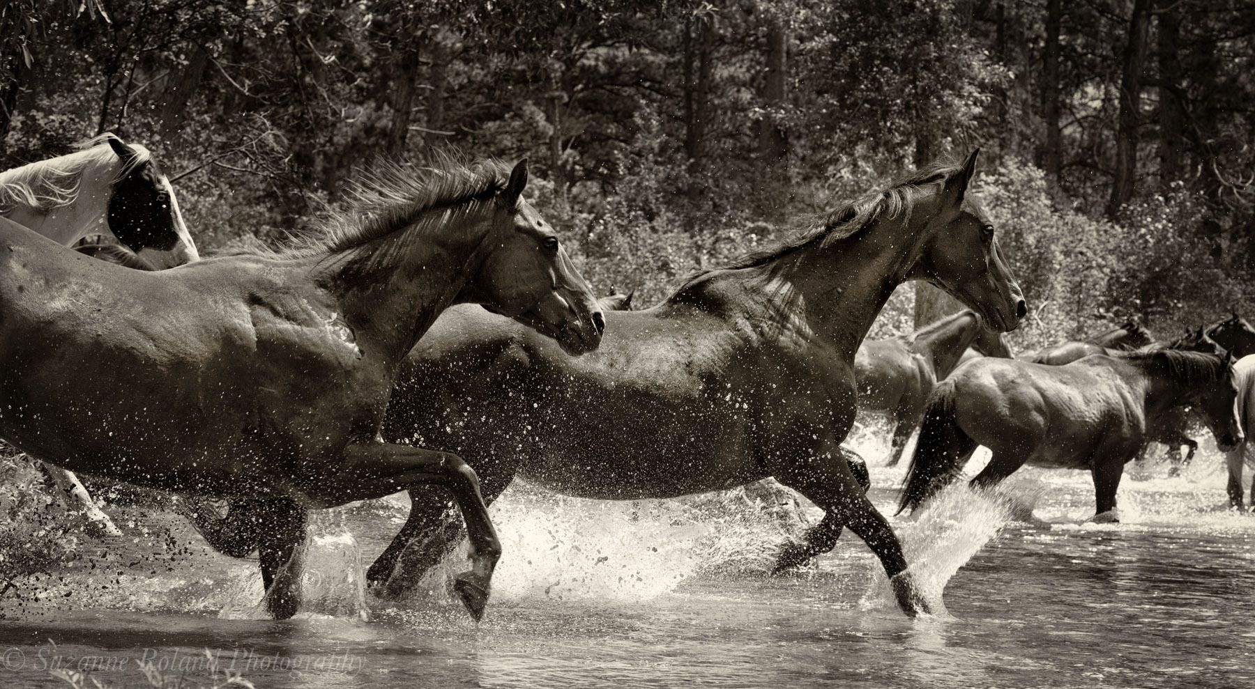 1_wyo0607_edit_edit_edit