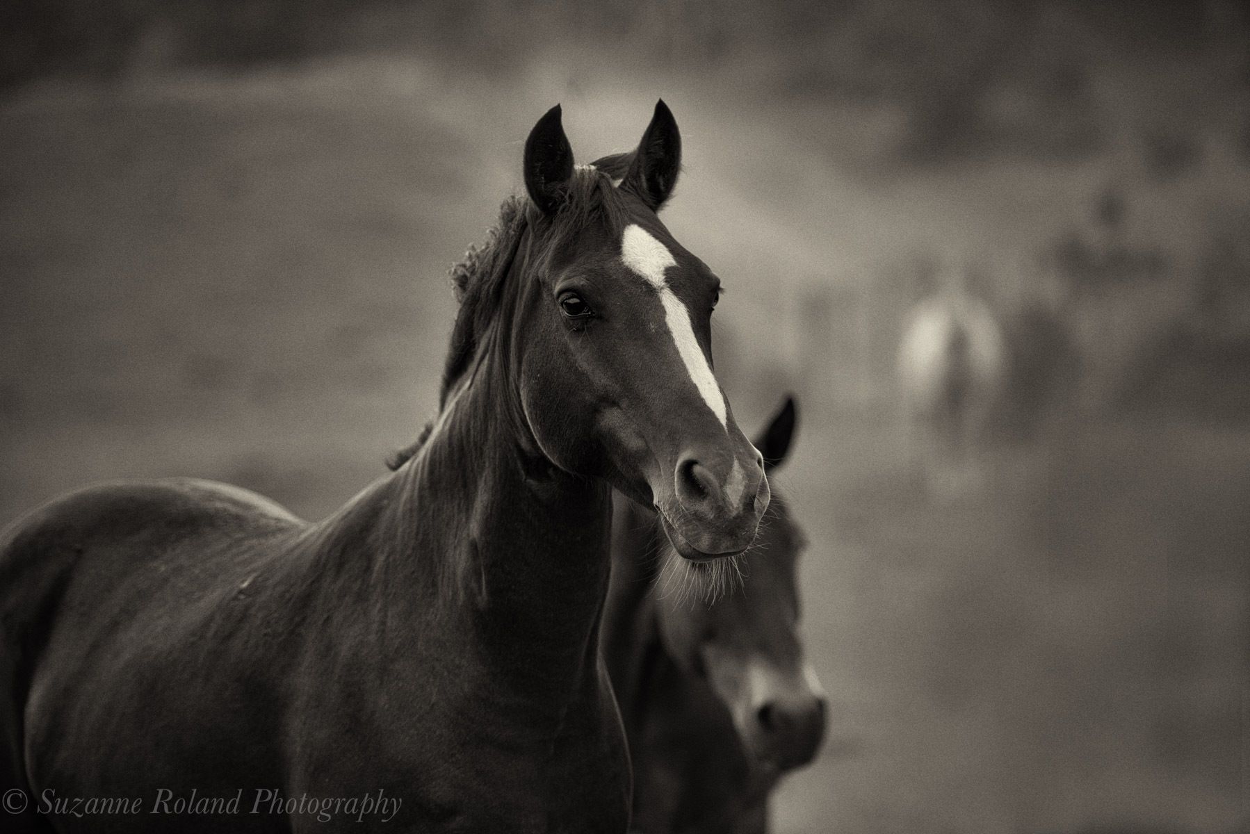 1_rtf2413_edit_edit_edit_edit_edit_2