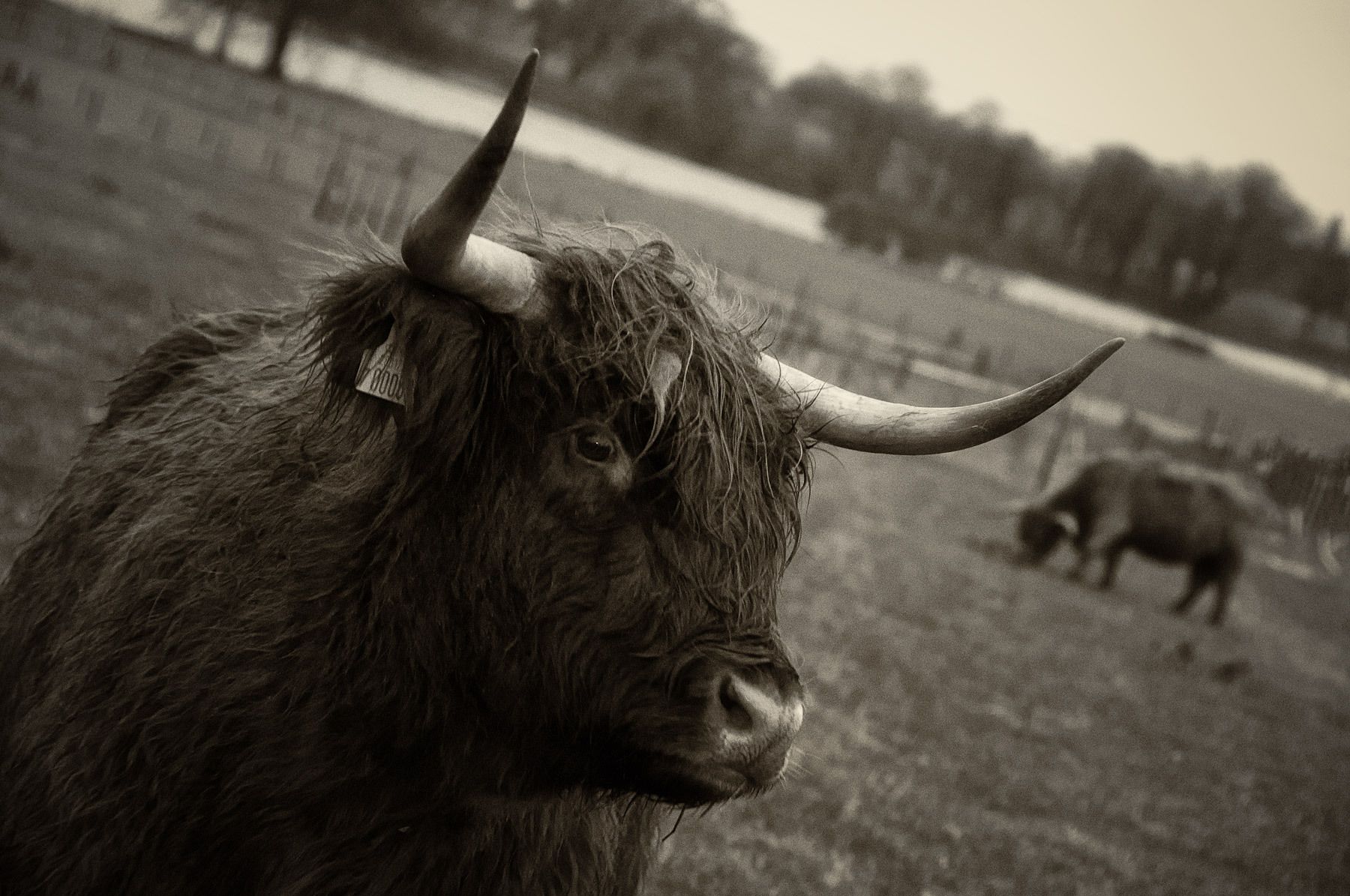 1_lon0918_edit_edit_edit_edit_2_edit_edit_2_edit_edit_edit_edit_edit