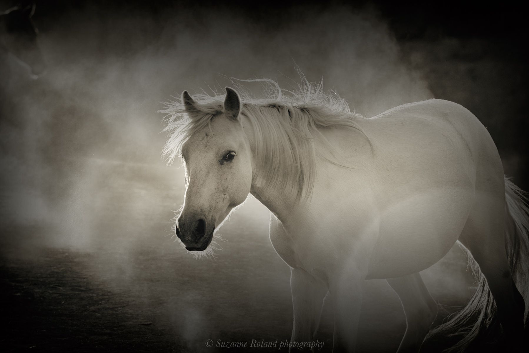 1_rtf4544_edit_9_edit