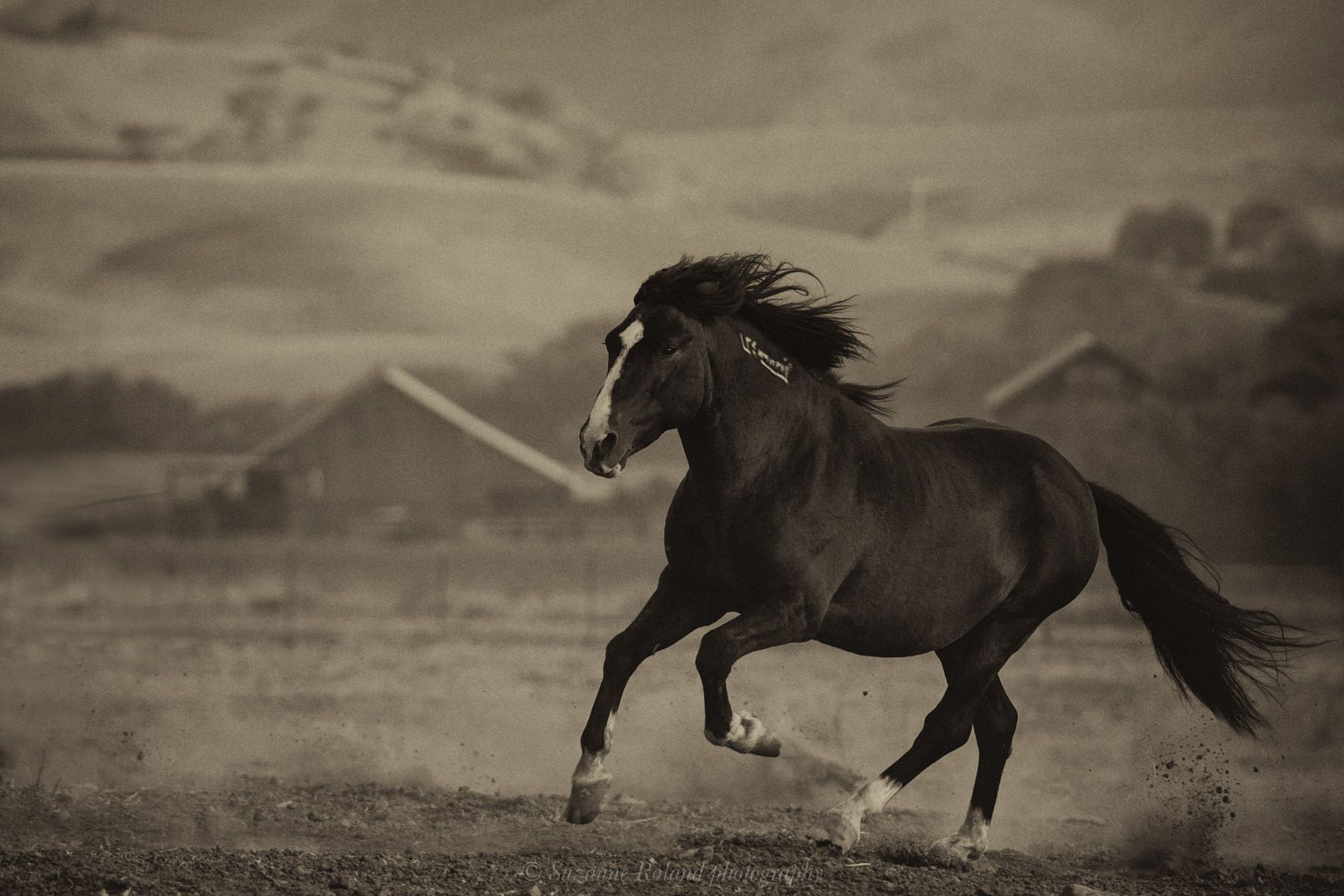 1_rtf4994_edit_edit_edit_edit