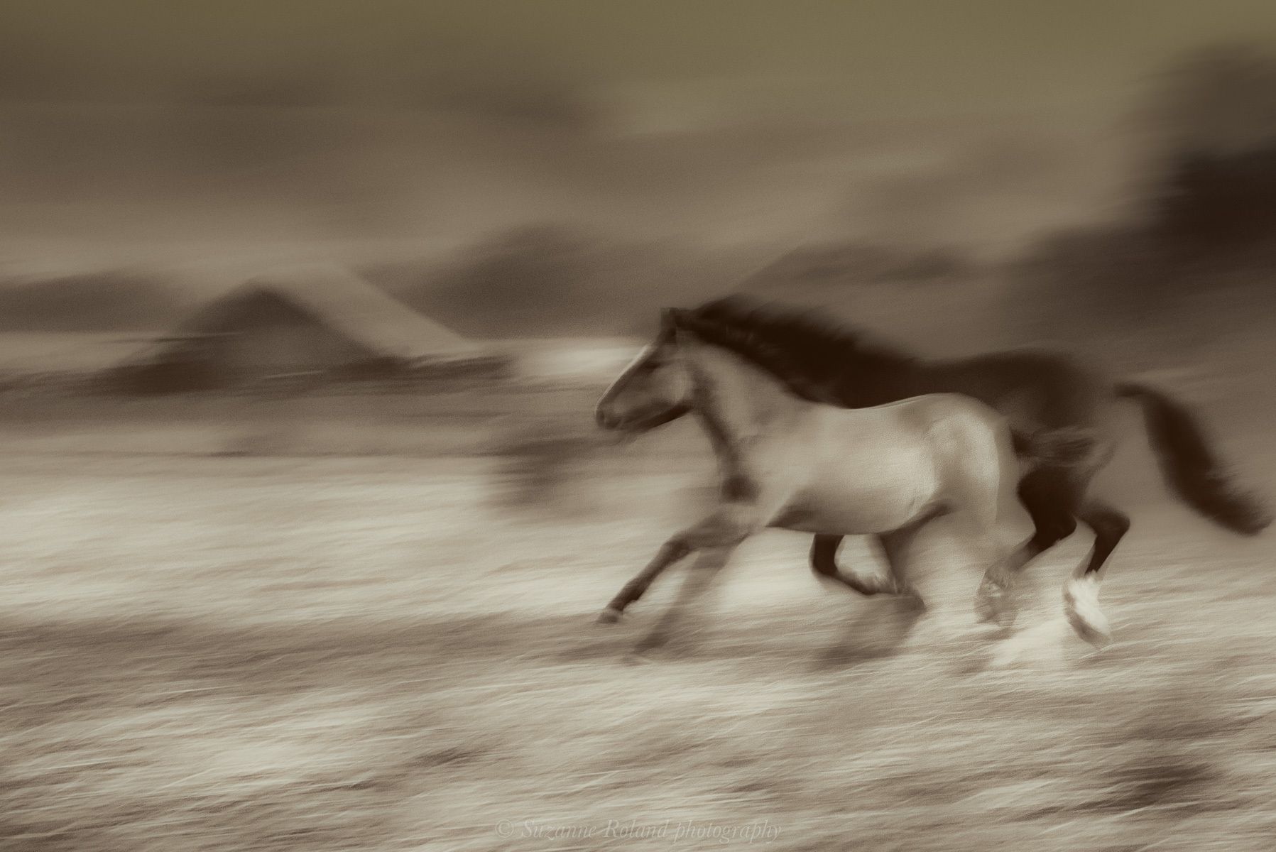 1_rtf4951_edit_4_edit_2_edit_edit_edit_edit_edit_edit