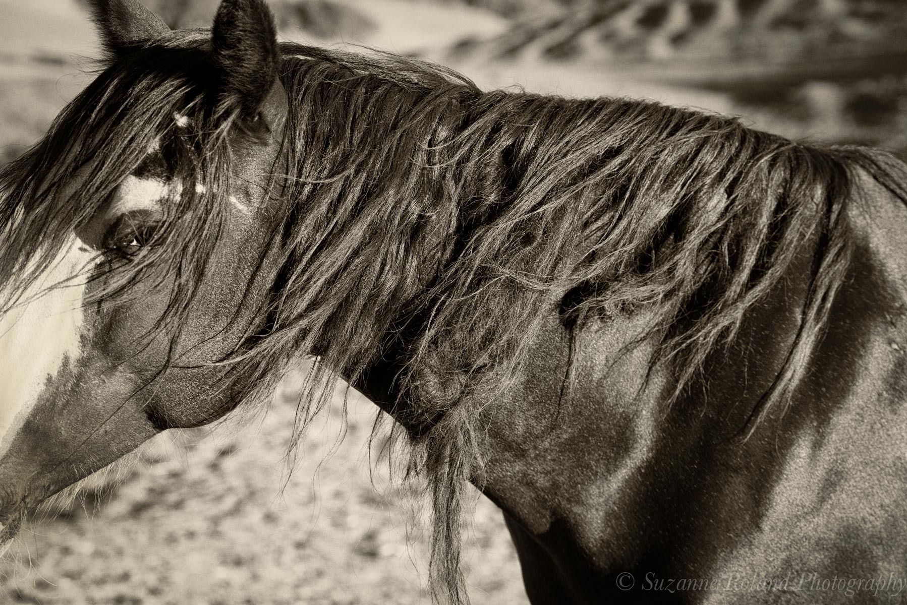 1_rtf3227_edit_edit_edit