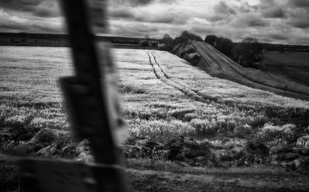 AVIGNON PARIS--11.jpg