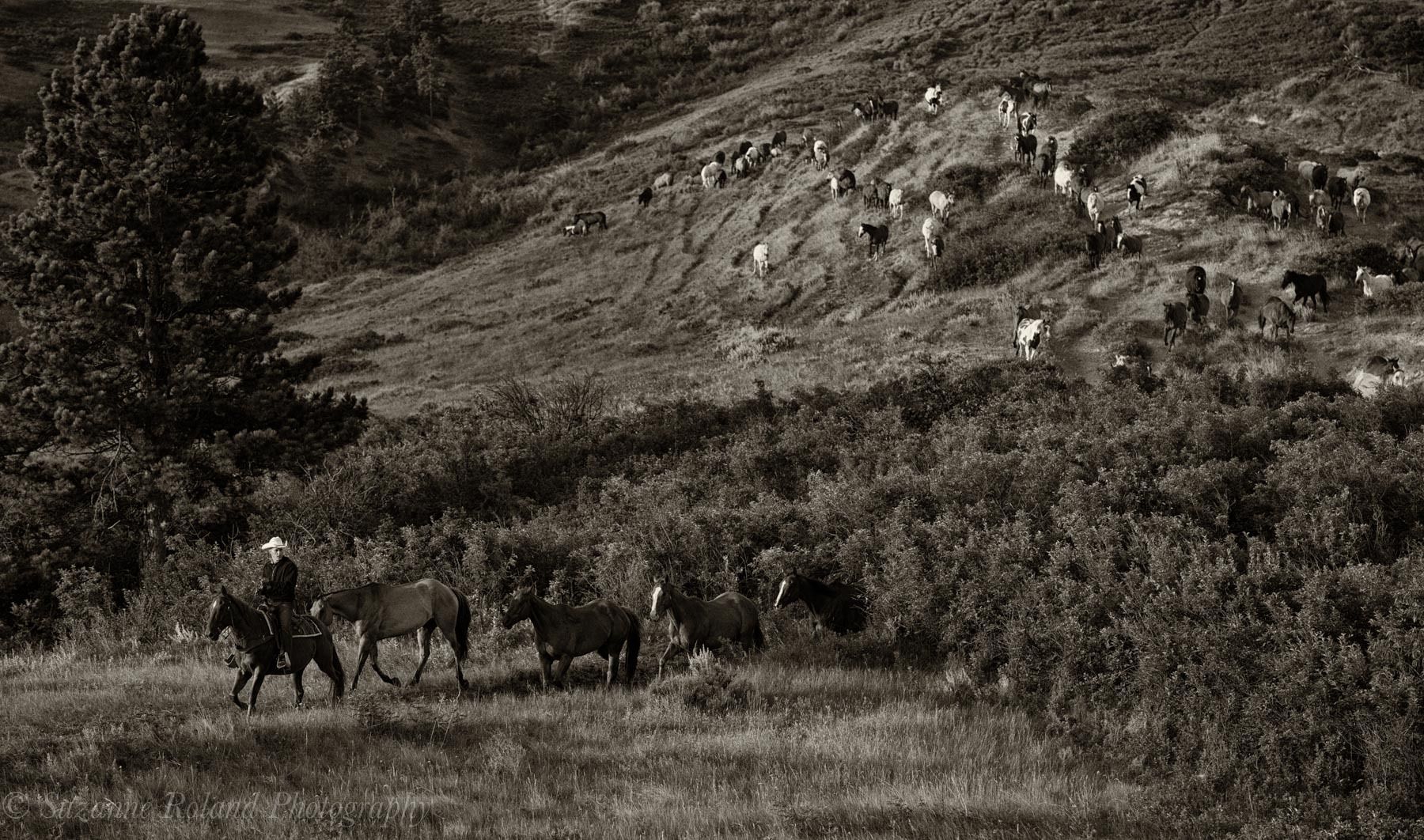 1_wyo0120_edit_edit_edit_edit_2