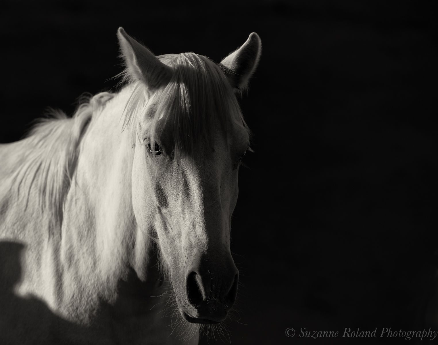 1_rtf3434_edit_2_edit_edit