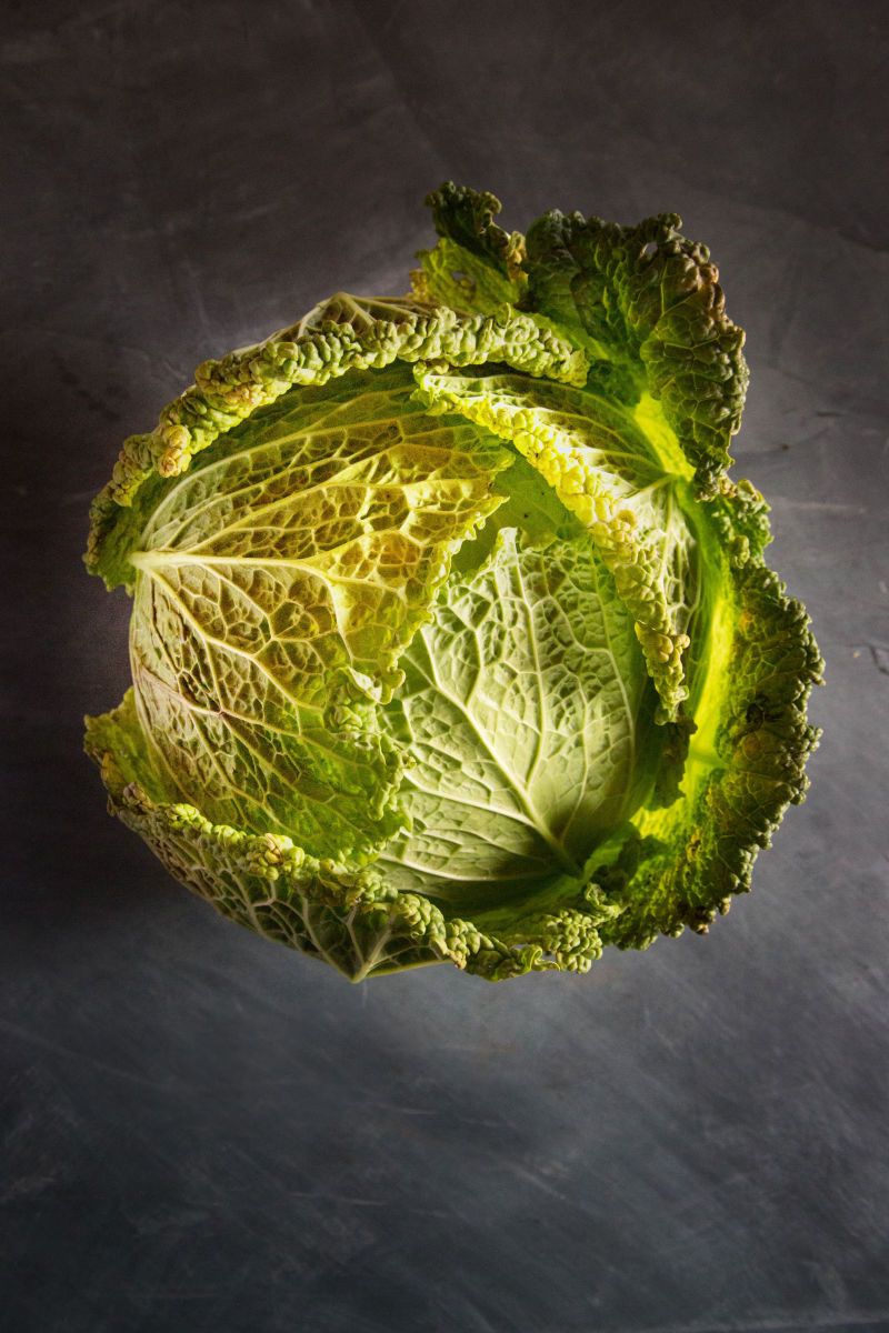 3_0_297_1cabbage_001_27.jpg