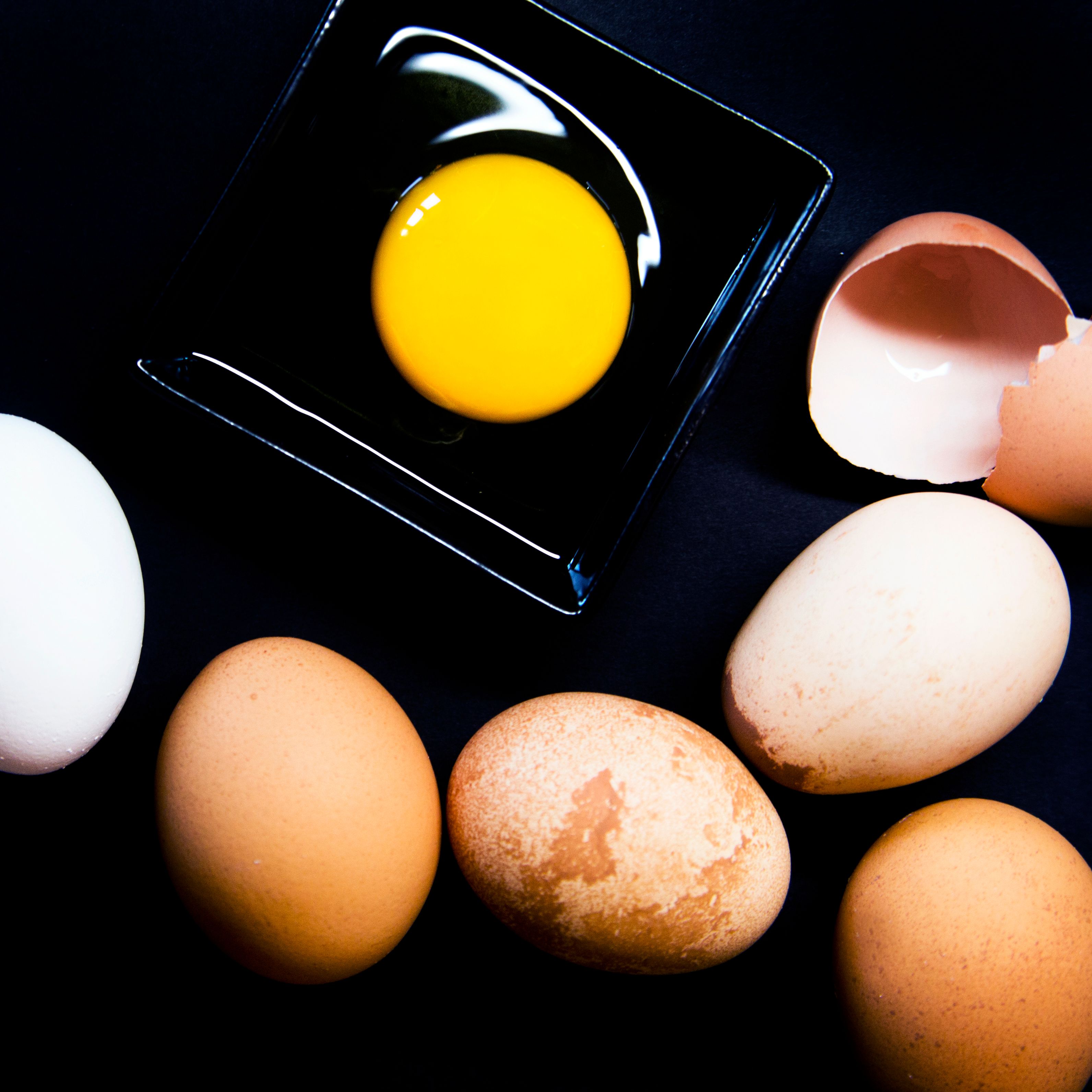 Jeanine Thurston Eggs_2018_001.jpg