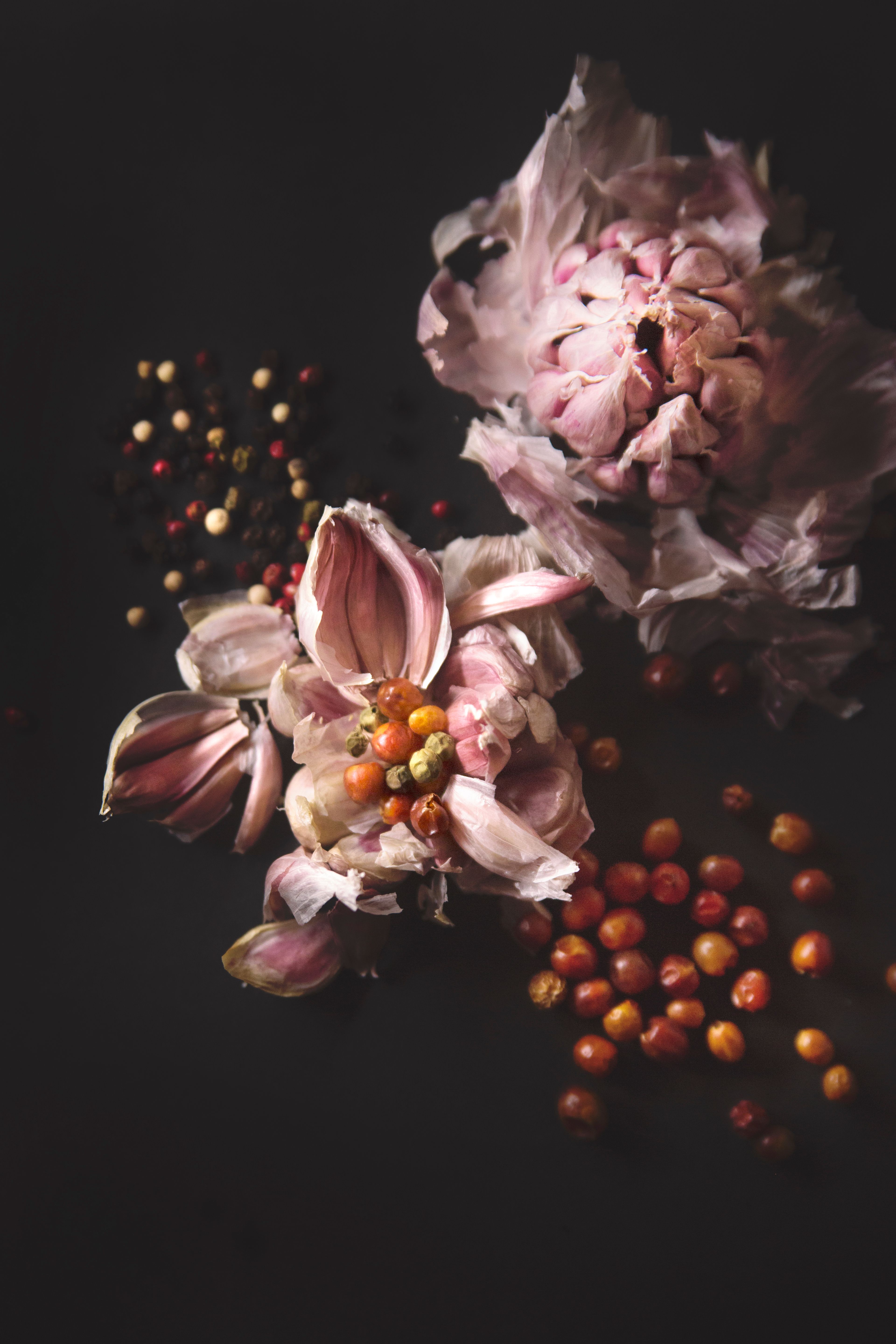 Garlic & peppercorns_JTP_001.jpg