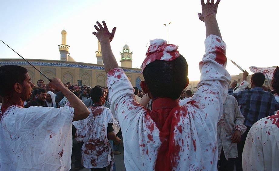 Iraq Shiite Sacrifice