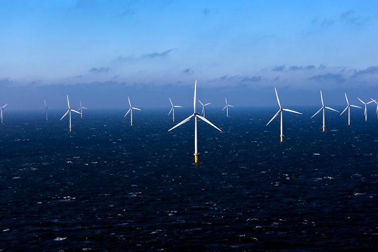 1northsea_saylor_0282_lb